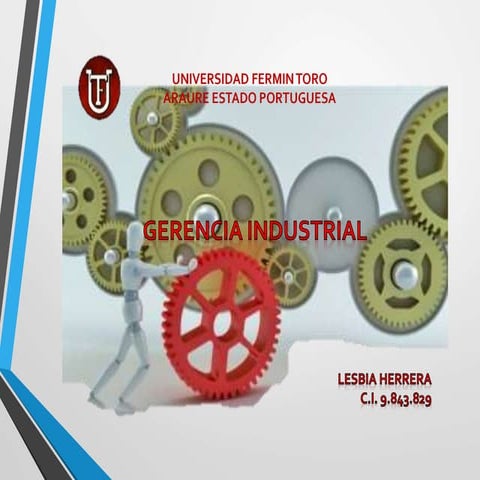 Mapa mental gerencia industrial (lesbia)