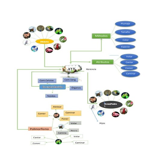 Mapa mental java | PPTX