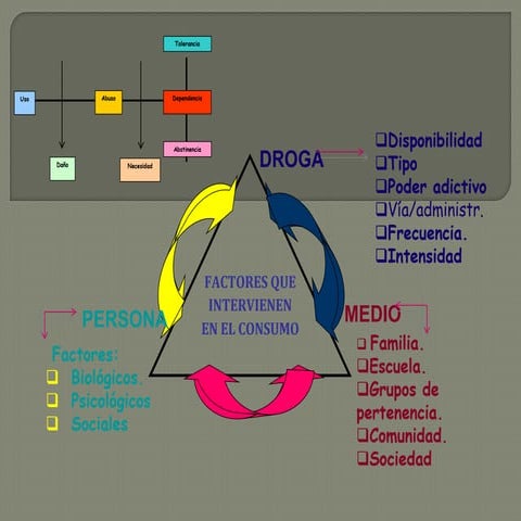 Mapa mental s2 do lismary perez sarabia