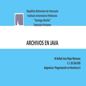 Mapa mental sobre archivos en java rafael