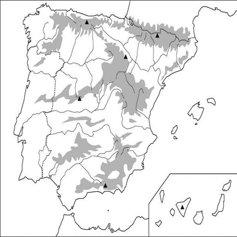 Mapa mudo relieve de españa