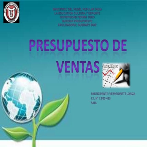 Mapa presupuesto de ventas verygionett_loaiza_slidehare