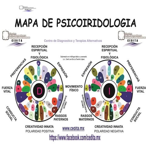 Mapa psicoiridologia