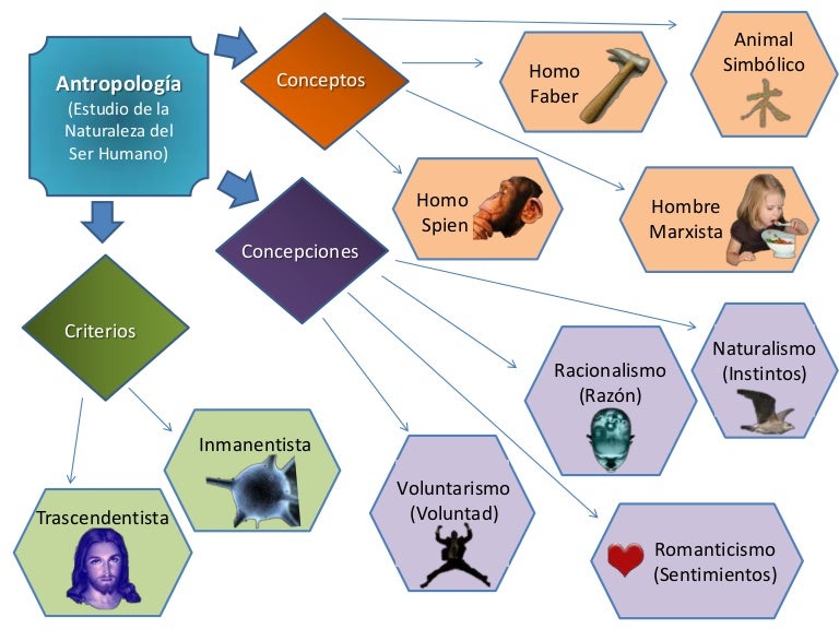 Antropologia, Etica y Epistemologia (mapas mentales)