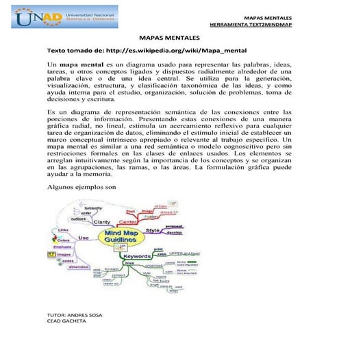 Mapas Conceptuales y Mapas Mentales | PDF