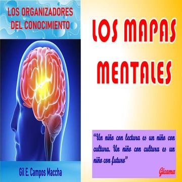 MAPAS MENTALES - lalo y sheguis estudiosos
