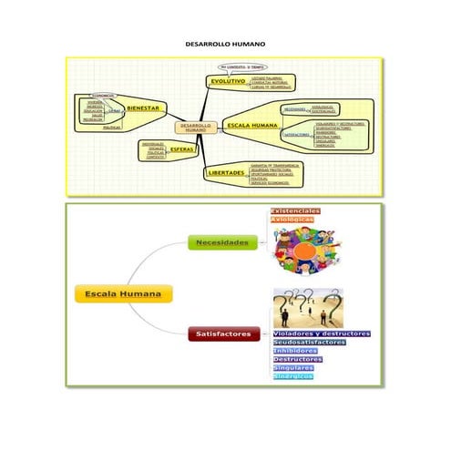 Mapas mentales dllo humano