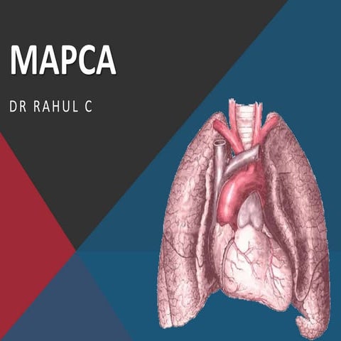 Mapca 1