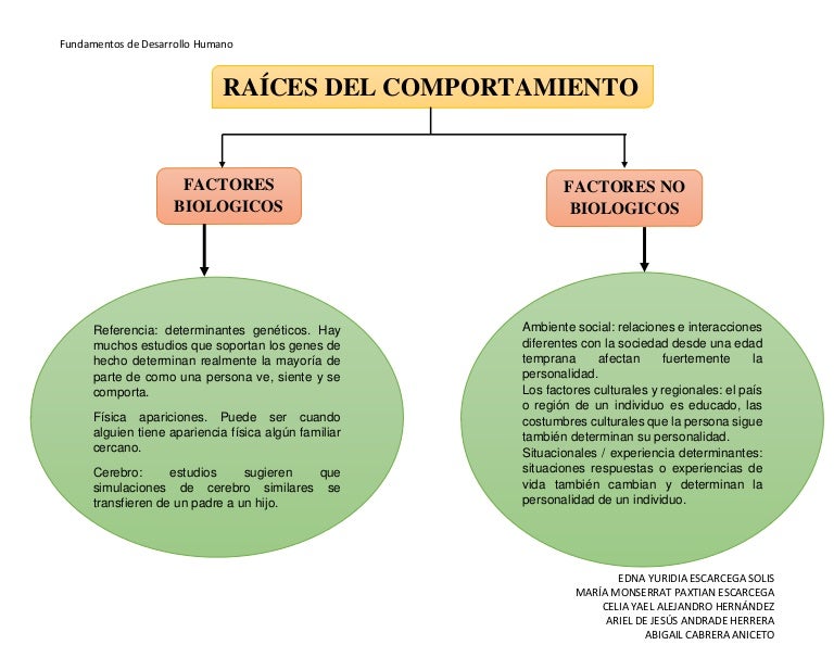 Mapa Raices del comportamiento Mapa Raices del comportamiento