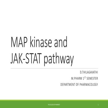 Map kinase and jak stat pathway 