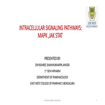 Intracellular signaling pathways MAPK and JAKSTAT
