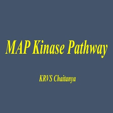 Mapk pathways