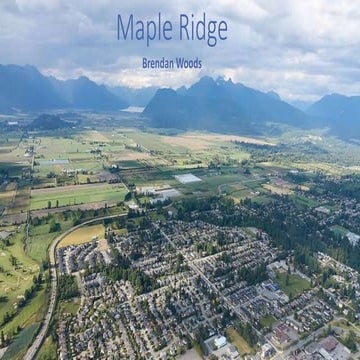 Maple ridge pp