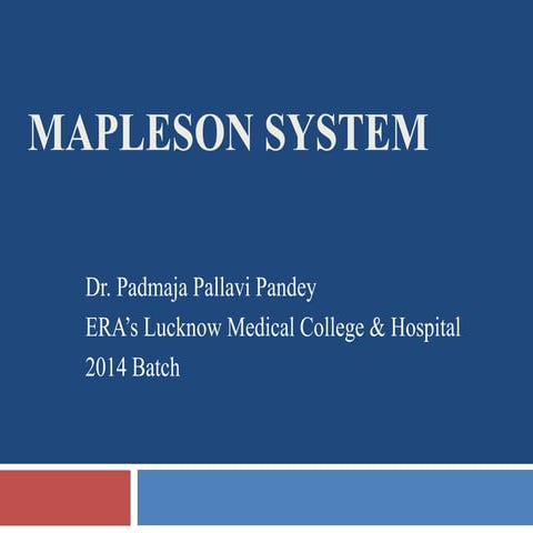 Mapleson system