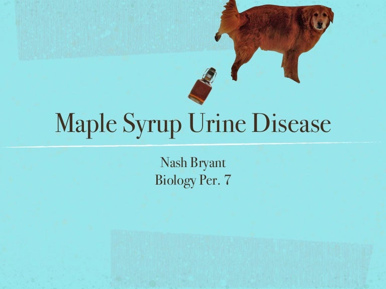 Maple syrup urine disease