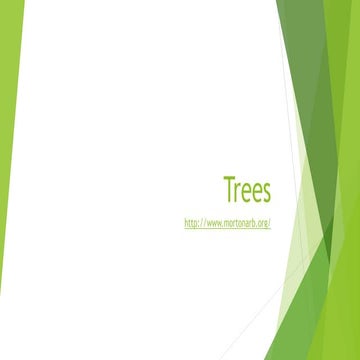 Trees 