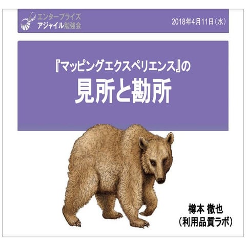 『マッピングエクスペリエンス』の 見所と勘所