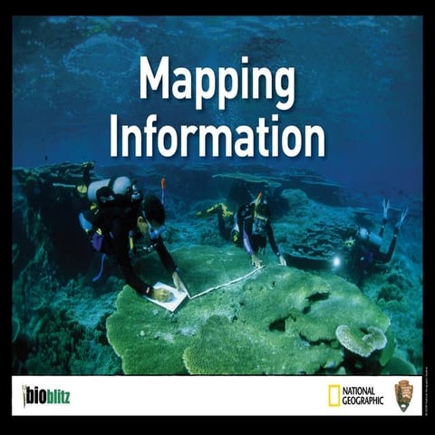 Mapping Information Power Point