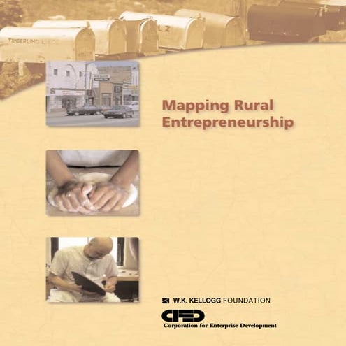 Mapping Rural Entrepreneurship | PDF