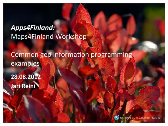 Maps4Finland 28.8.2012, Jari Reini