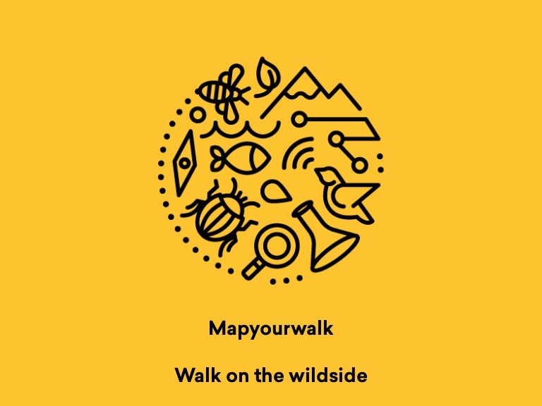 Map Your Walk