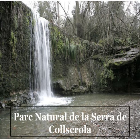La vegetació i la fauna de Collserola | PPTX