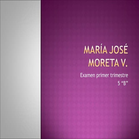 María josé moreta v