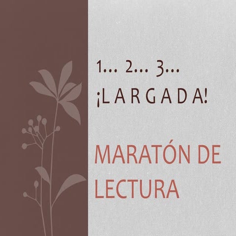 Maratón 2014
