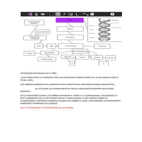 Maraton ceibal ela 8