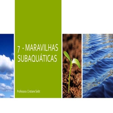 7 MARAVILHAS SUBAQUÁTICAS