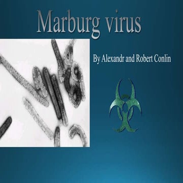 MARBURG VIRUS DISEASE POWER POINT PRESENTATION | PPTX