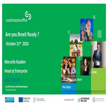 Marcella Rudden LEO EEN Brexit Event