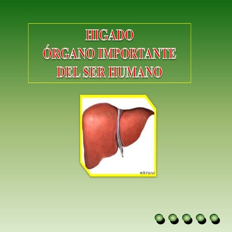 Marcelo diapositivas 