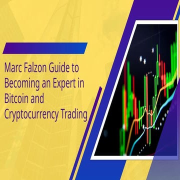 Marc Falzon Guide to Becoming an Expert in Bitcoin and Cryptocurrency ...