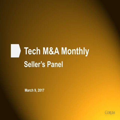 Tech M&A Monthly: Seller's Panel 2017
