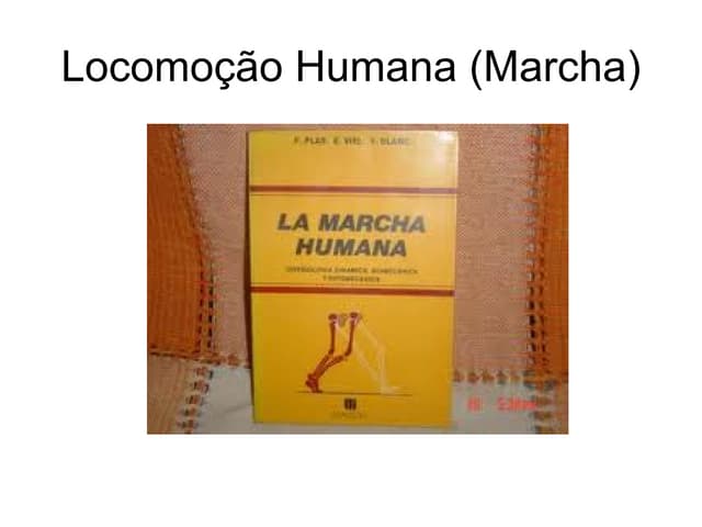 Marcha humana, fases e funções básicas.pptx
