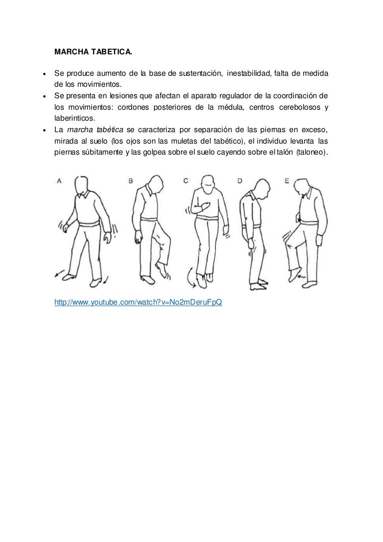 Espanol En Marcha 1 Pdf