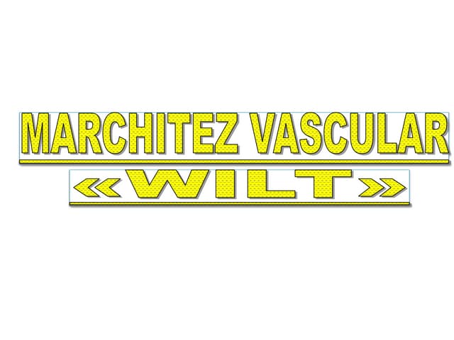Marchitez vascular o wilt