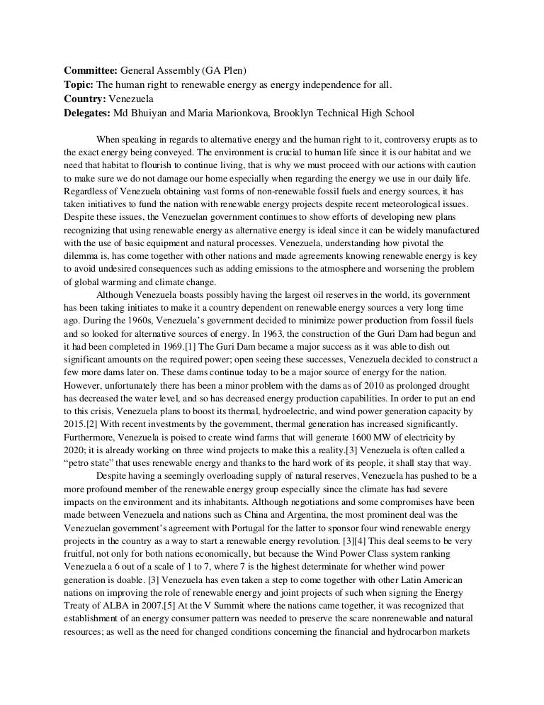 High school position paper format