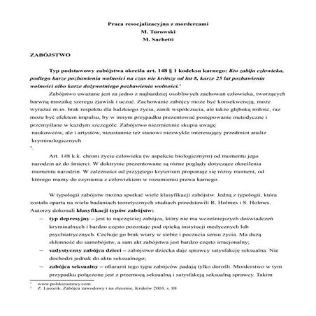 Marcin turowski i michał sachetti pzm