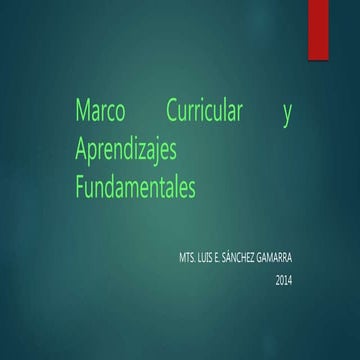 Marco curricular 