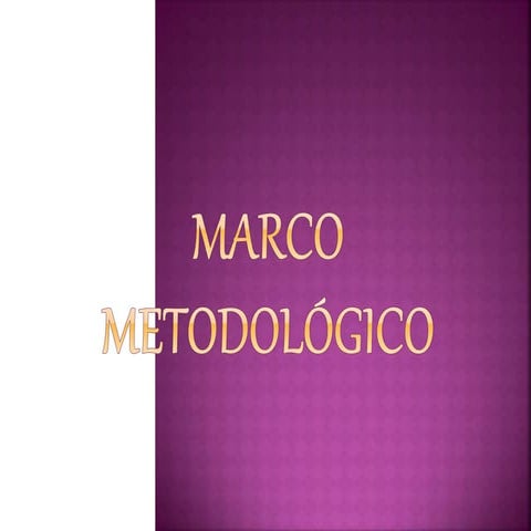 Marco metodológico