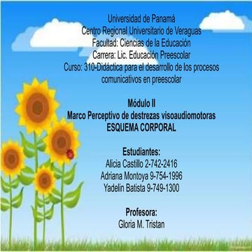 Marco perceptivo de destrezas: ESQUEMA CORPORAL