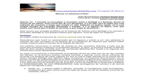 Marcos 11 ¡Hosanna al Rey!.pdf