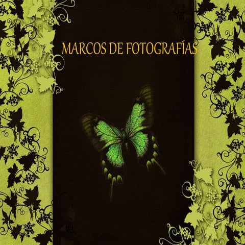 Marcos fotorgáficos