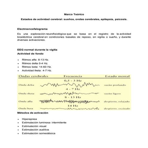 Marco teórico eeg