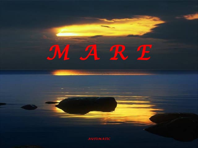 Mare