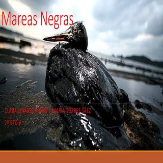 Mareas negras