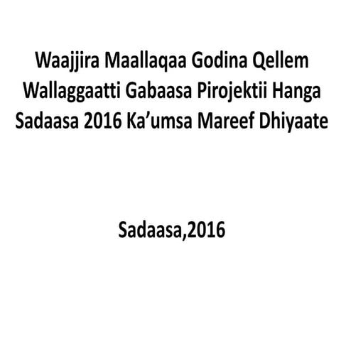 Maree pirojektii Sadaasa 2016f final.pptx