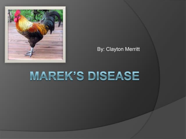Marek s Disease